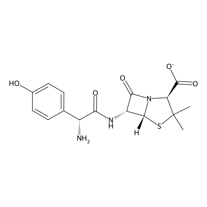 Amoxicillin(1-)