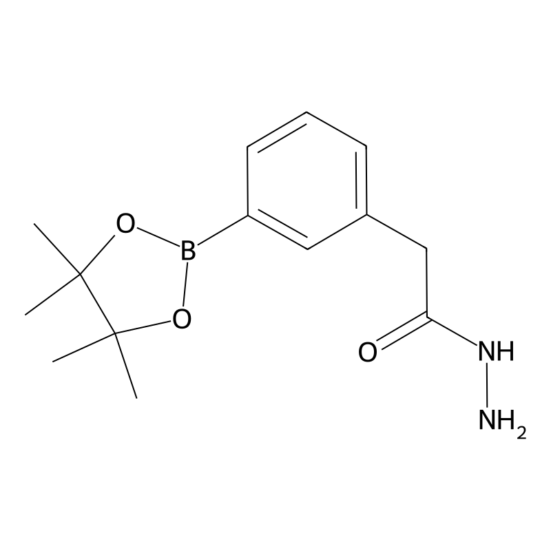 3-(2-Hydrazinyl-2-oxoethyl)phenylboronic acid, pin...