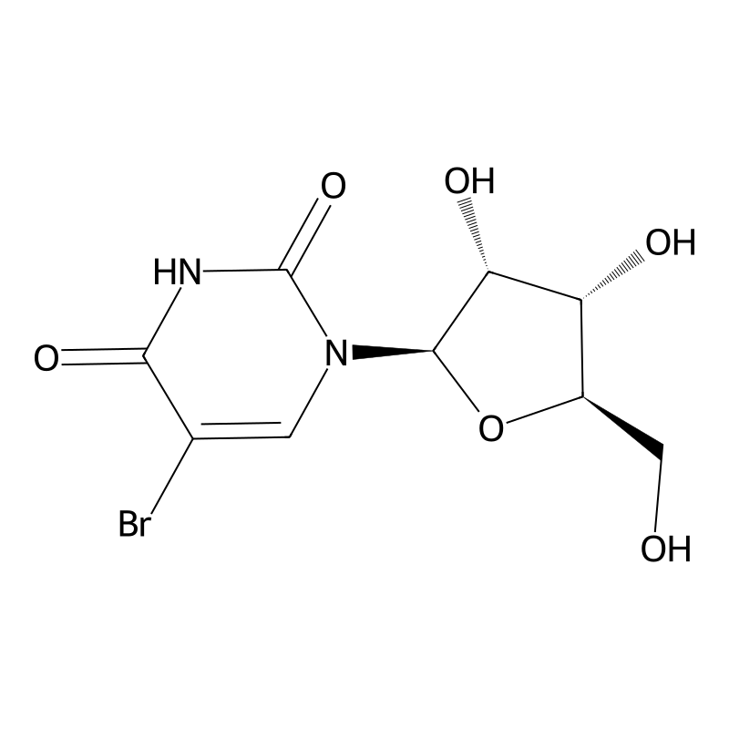 5-Bromouridine