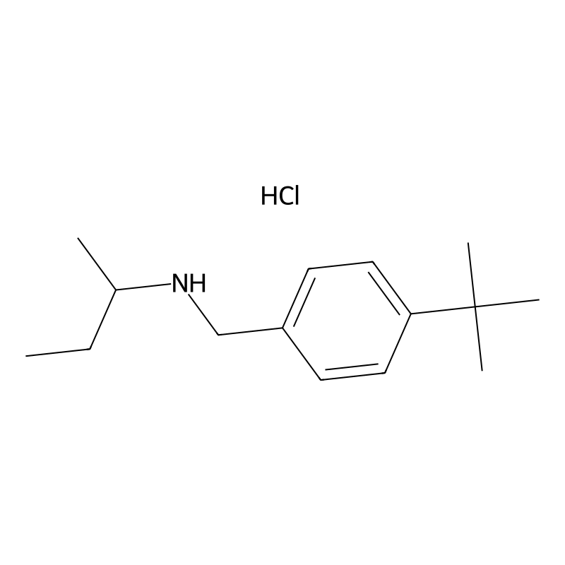 (Butan-2-yl)[(4-tert-butylphenyl)methyl]amine hydr...