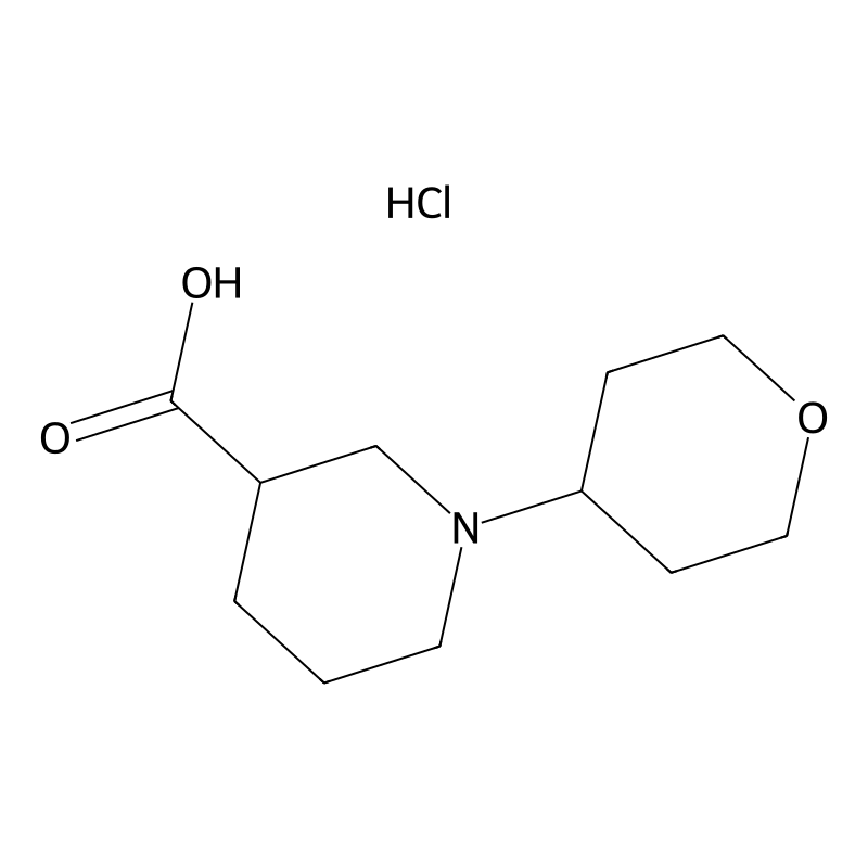 1-(tetrahydro-2H-pyran-4-yl)piperidine-3-carboxyli...