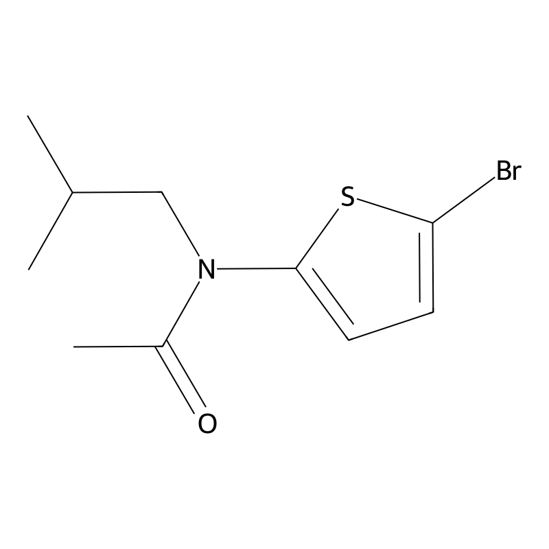 N-(5-Bromothiophen-2-yl)-N-(2-methylpropyl)acetami...