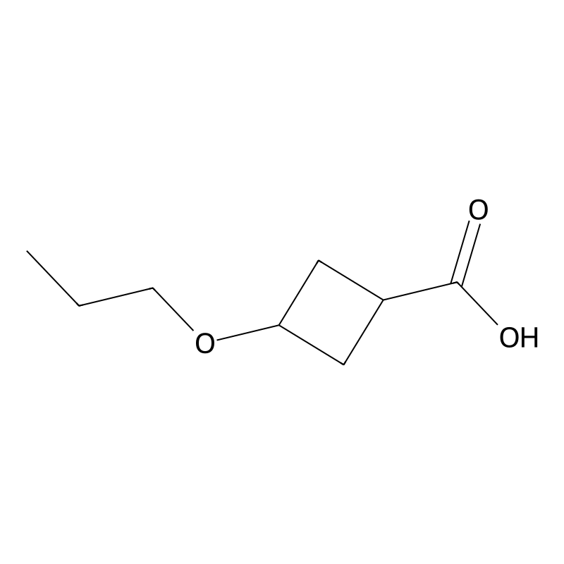 3-Propoxycyclobutane-1-carboxylic acid