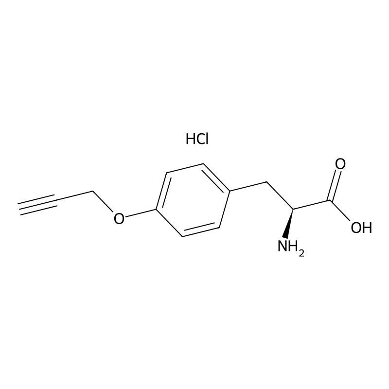 O-2-Propyn-1-yl-L-tyrosine HCl