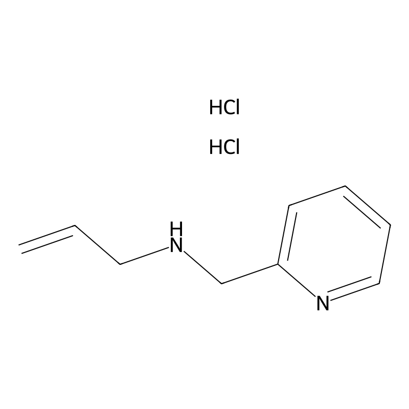 (prop-2-en-1-yl)[(pyridin-2-yl)methyl]amine dihydr...