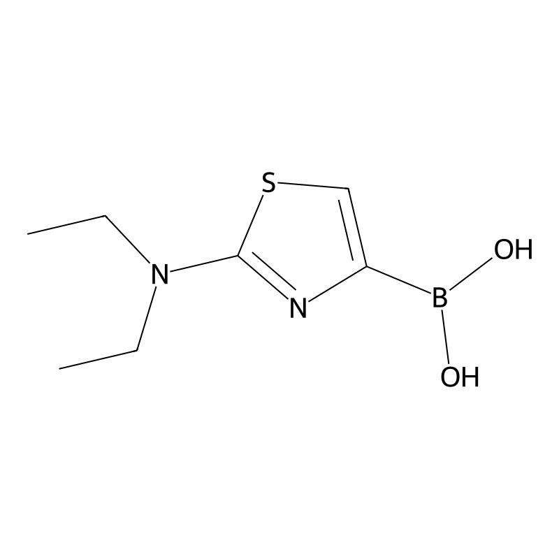 2-(Diethylamino)thiazole-4-boronic acid