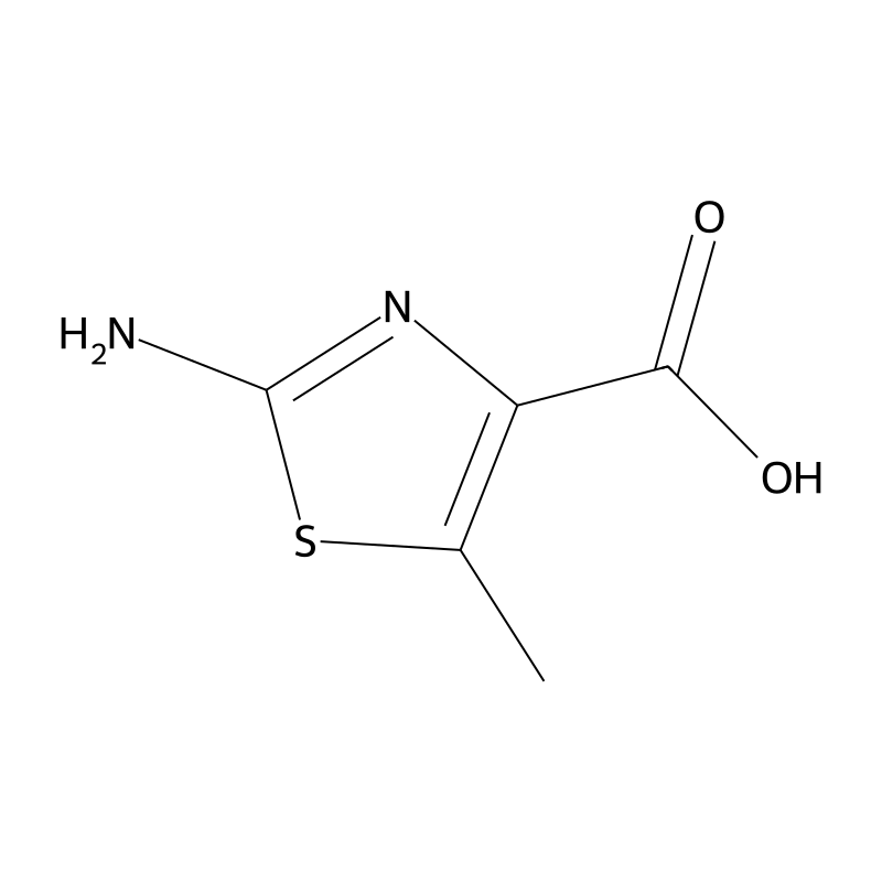 2-amino-5-methyl-1,3-thiazole-4-carboxylic Acid