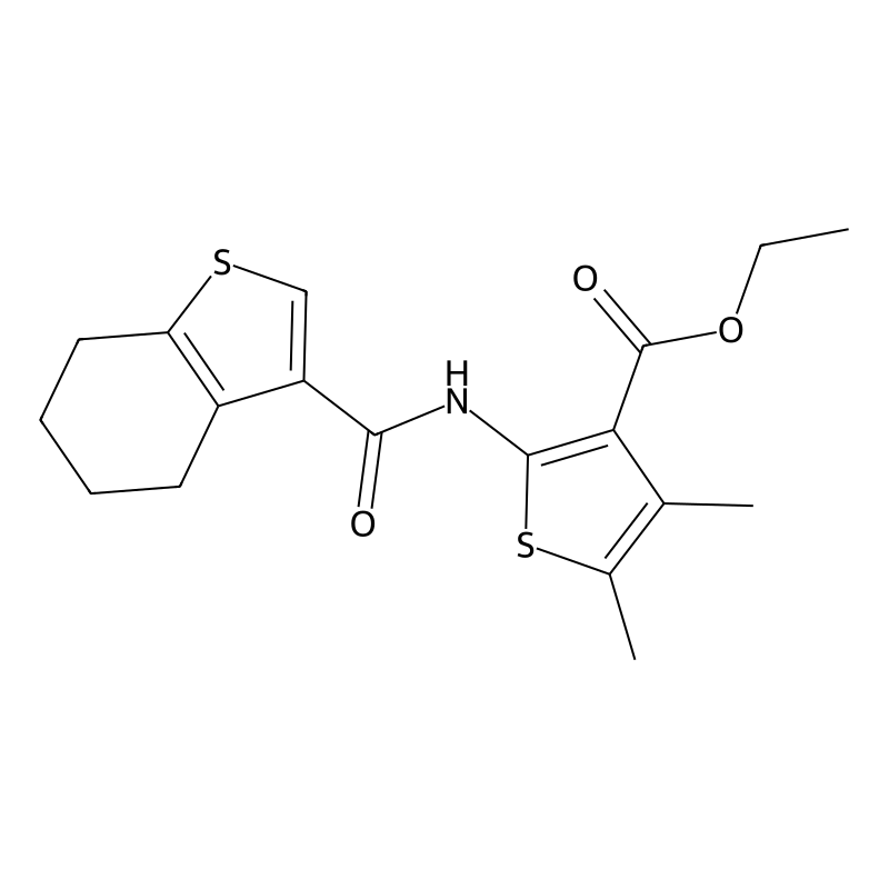 ethyl 4,5-dimethyl-2-(4,5,6,7-tetrahydro-1-benzoth...
