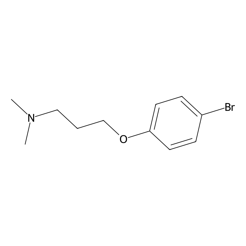 3-(4-bromophenoxy)-N,N-dimethylpropan-1-amine