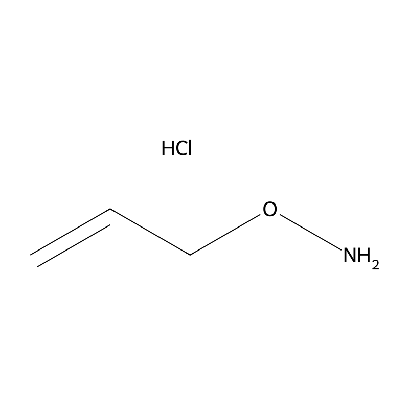 O-Allylhydroxylamine hydrochloride