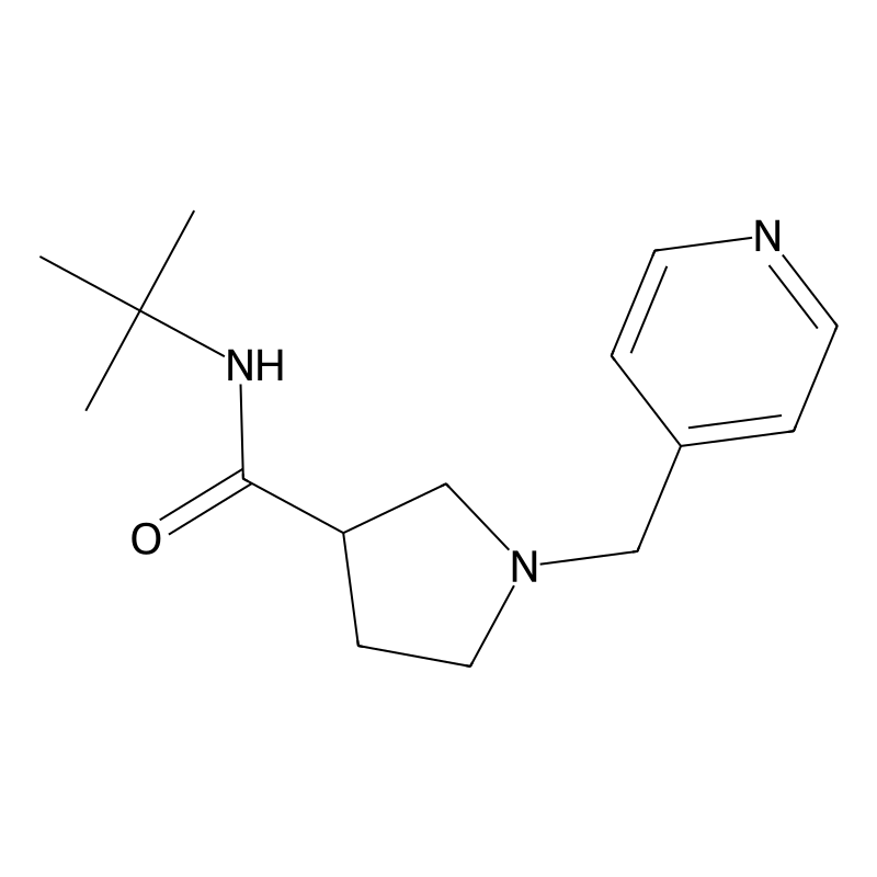 N-tert-butyl-1-[(pyridin-4-yl)methyl]pyrrolidine-3...