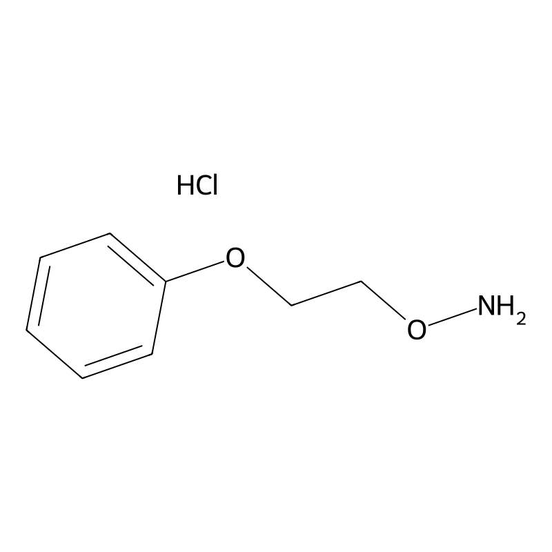 O-(2-Phenoxyethyl)hydroxylamine hydrochloride