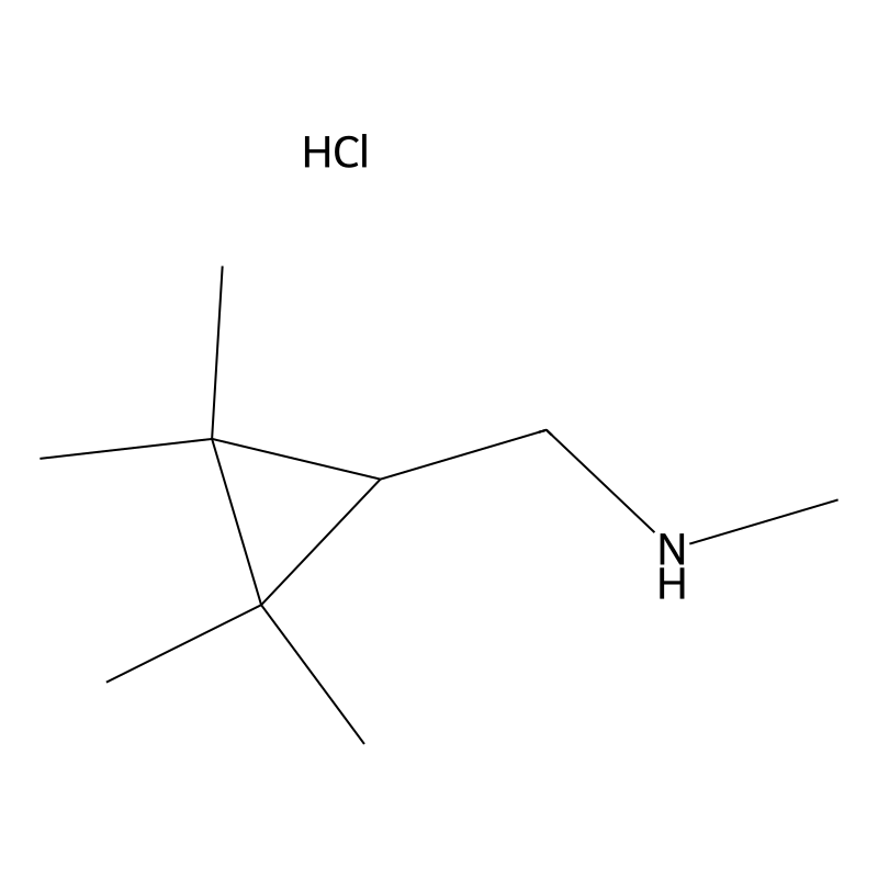 methyl[(2,2,3,3-tetramethylcyclopropyl)methyl]amin...