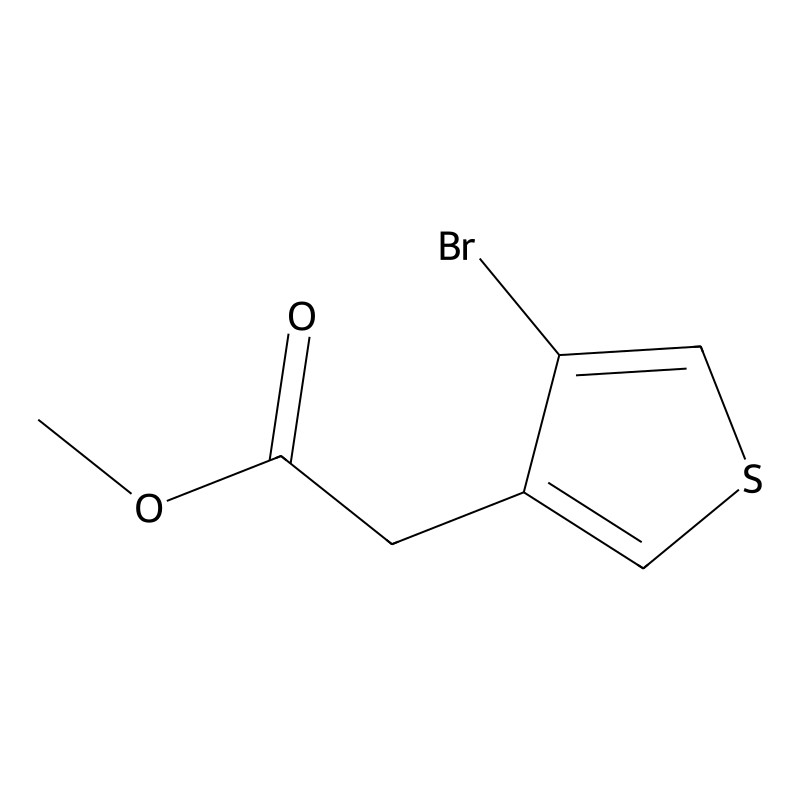 methyl2-(4-bromothiophen-3-yl)acetate