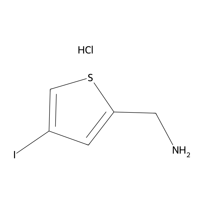 1-(4-iodothiophen-2-yl)methanamine hydrochloride