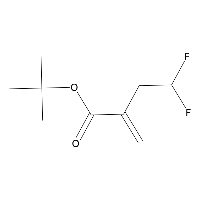 tert-butyl 4,4-difluoro-2-methylidenebutanoate