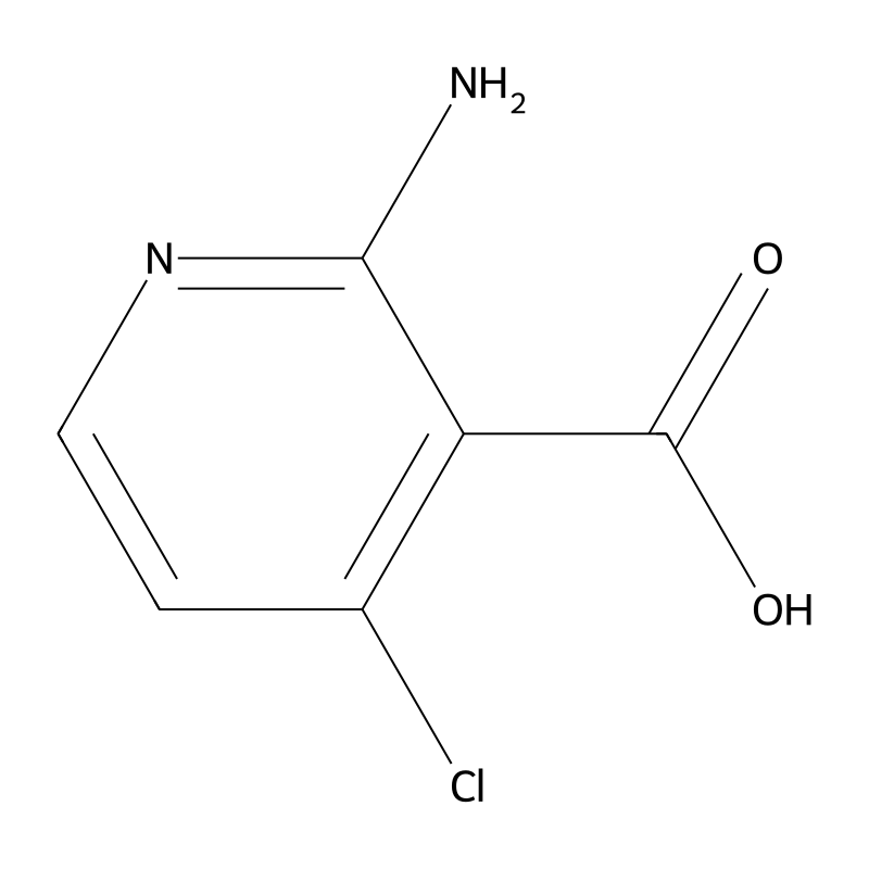 2-Amino-4-chloronicotinic acid