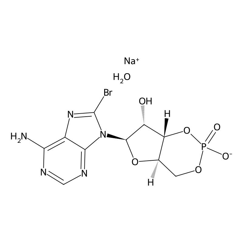 8-Bromoadenosine 3',5'-cyclic monophosphate sodium salt monohydrate