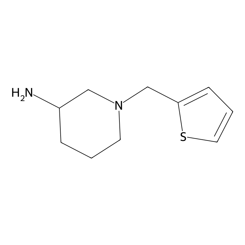 1-(Thiophen-2-ylmethyl)piperidin-3-amine