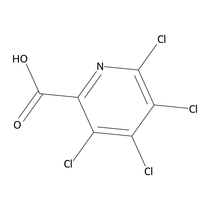 3,4,5,6-Tetrachloropyridine-2-carboxylic acid