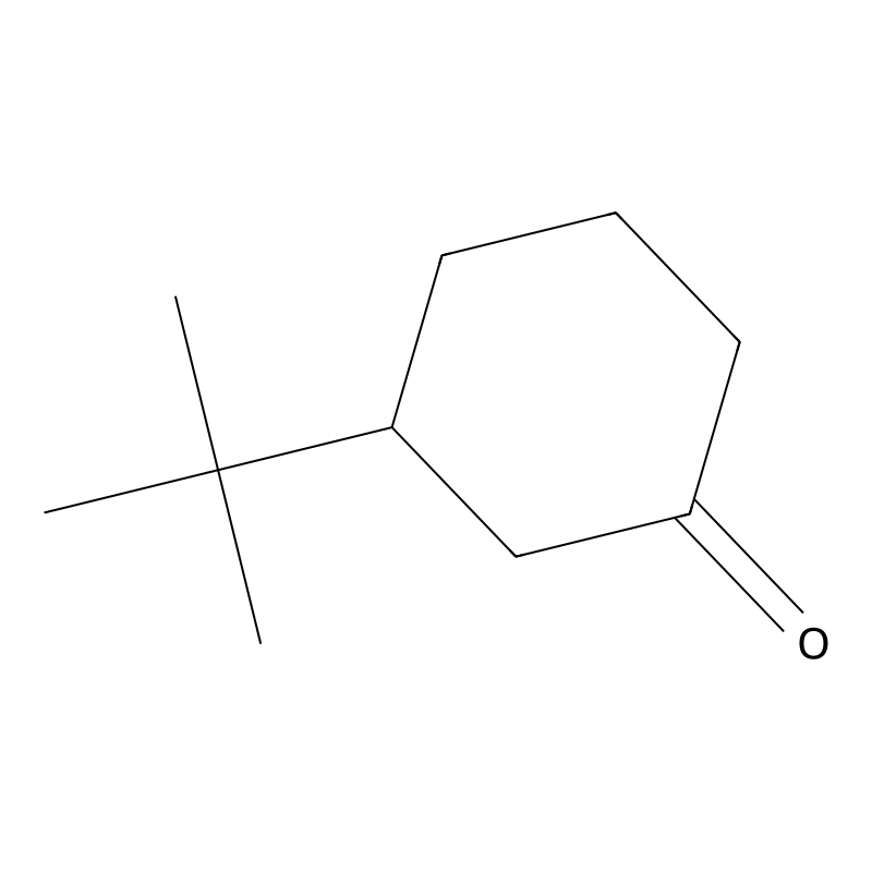 3-(TERT-BUTYL)CYCLOHEXANONE