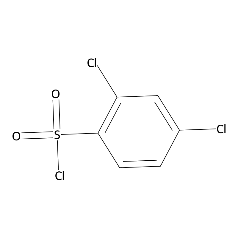 2,4-Dichlorobenzenesulfonyl chloride