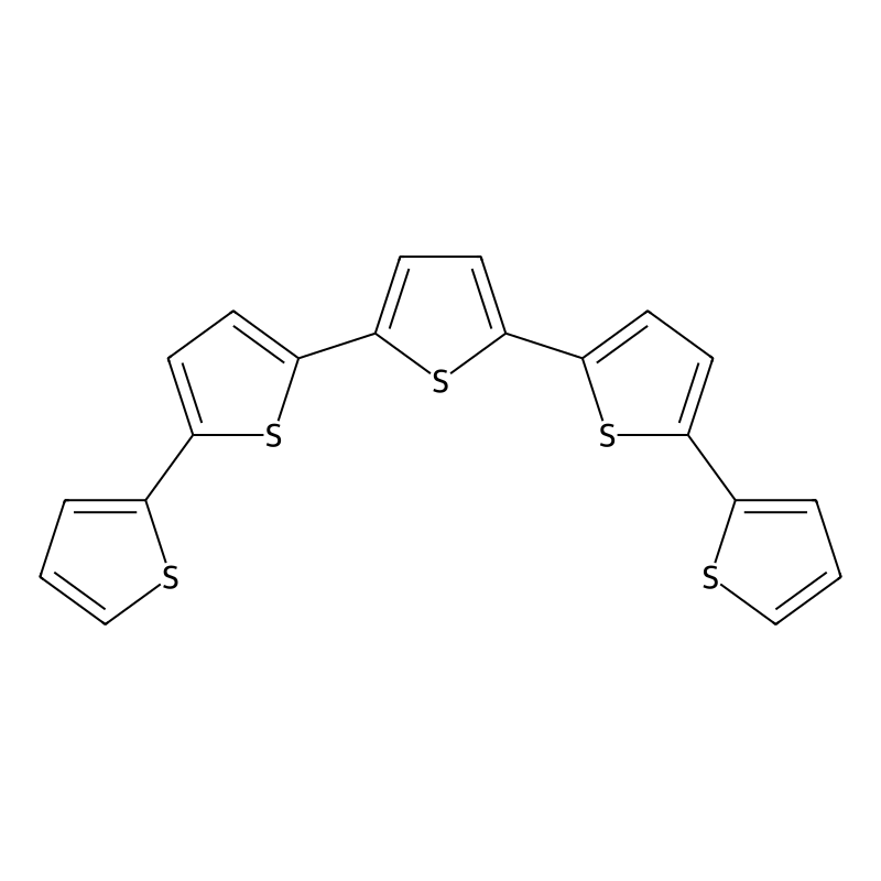 2,5-bis(5-thiophen-2-ylthiophen-2-yl)thiophene