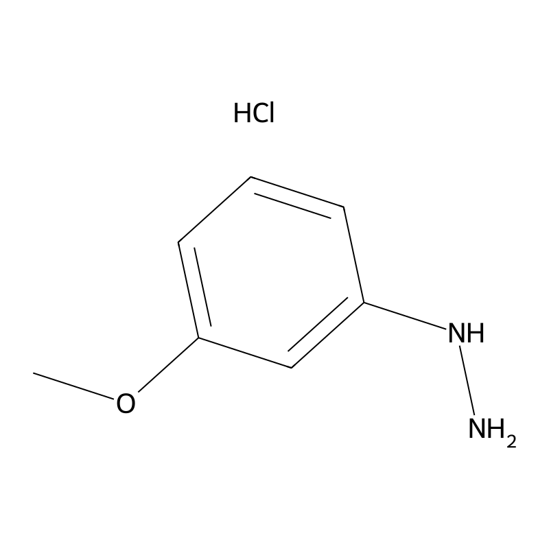 3-Methoxyphenylhydrazine hydrochloride