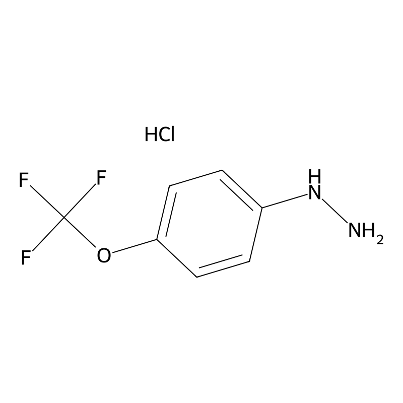 4-(Trifluoromethoxy)phenylhydrazine hydrochloride