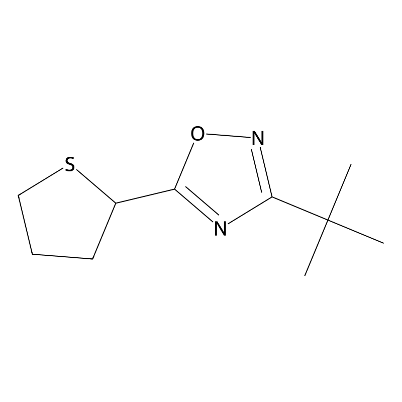 3-Tert-butyl-5-(thiolan-2-yl)-1,2,4-oxadiazole