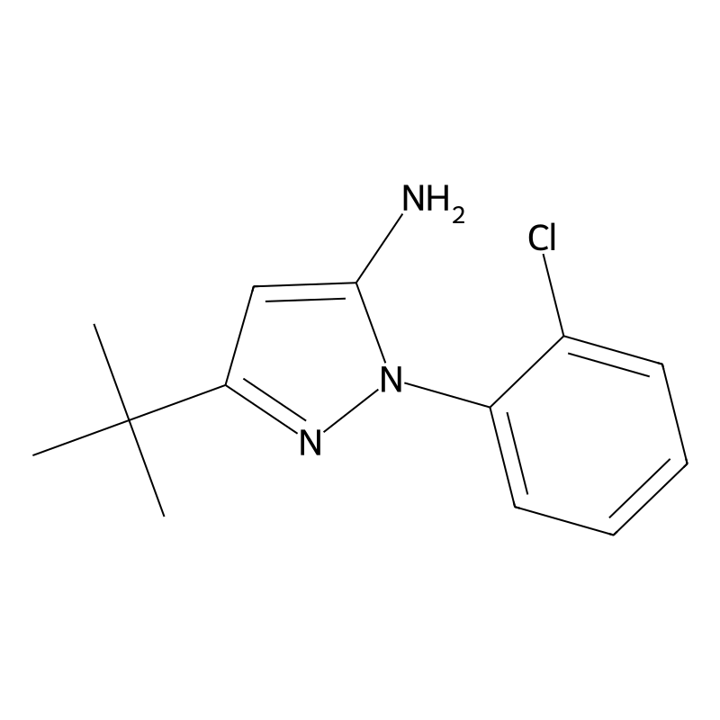 3-tert-butyl-1-(2-chlorophenyl)-1H-pyrazol-5-amine