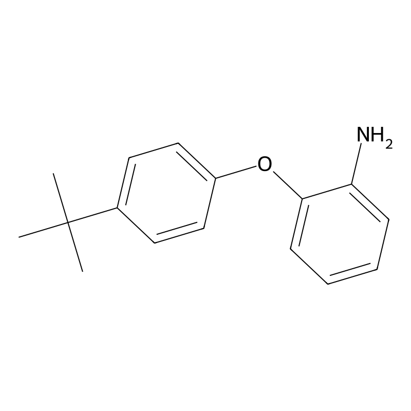 2-[4-(Tert-butyl)phenoxy]aniline
