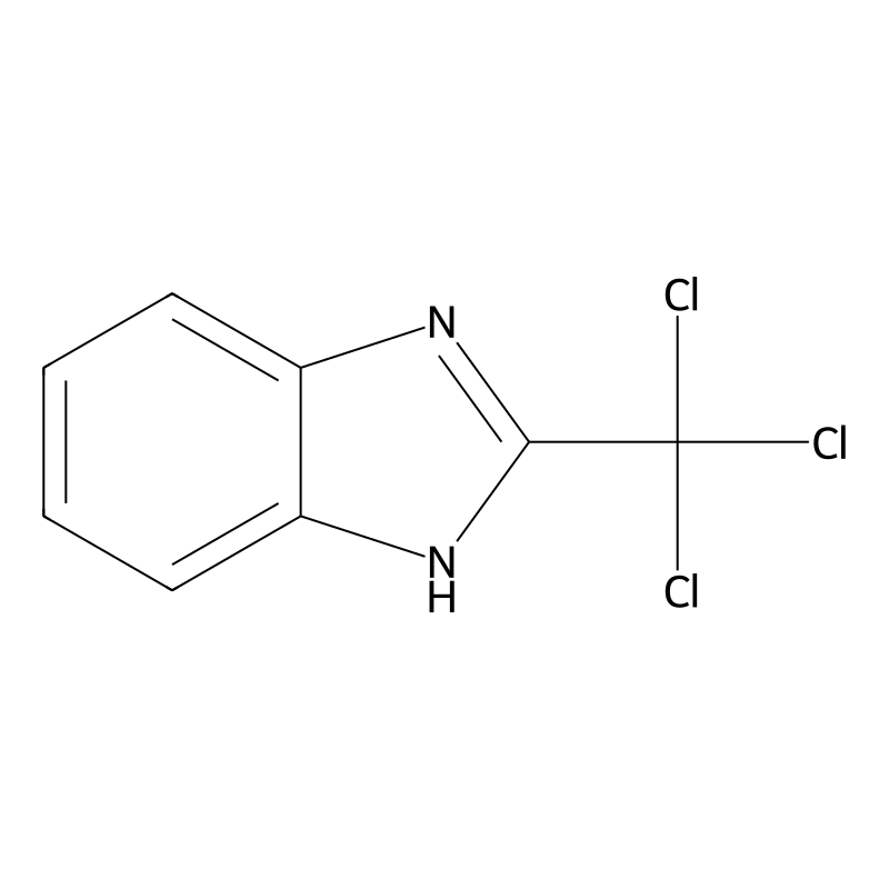 2-(Trichloromethyl)-1H-benzimidazole