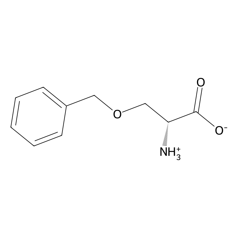 O-Benzyl-D-serine