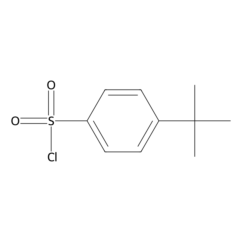 4-tert-Butylbenzenesulfonyl chloride