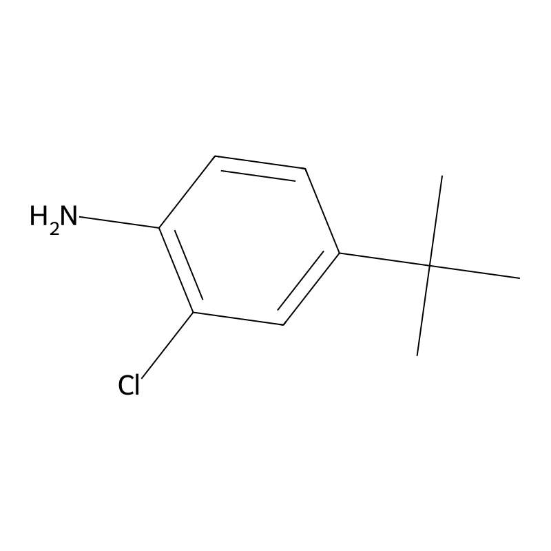 4-(Tert-Butyl)-2-Chloroaniline