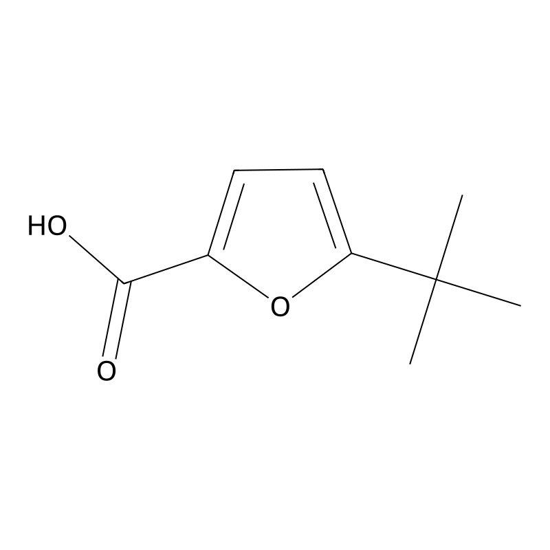 5-tert-butylfuran-2-carboxylic Acid