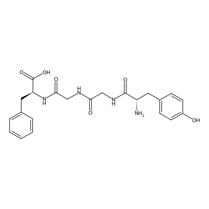 beta-Lipotropin fragment 61-64