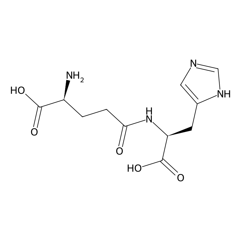 gamma-Glu-His