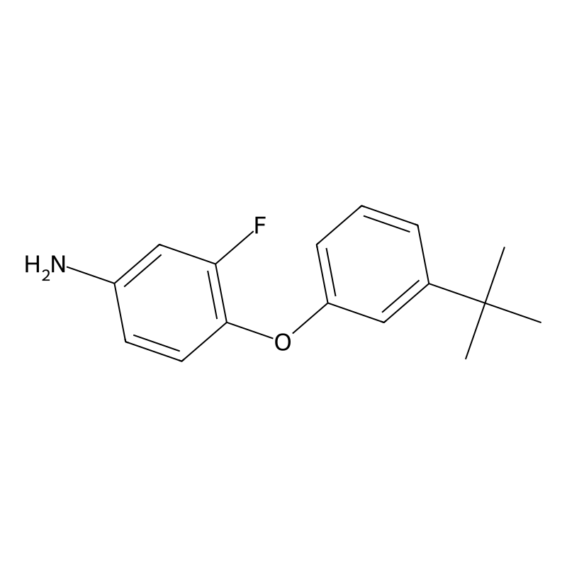 4-[3-(Tert-butyl)phenoxy]-3-fluorophenylamine
