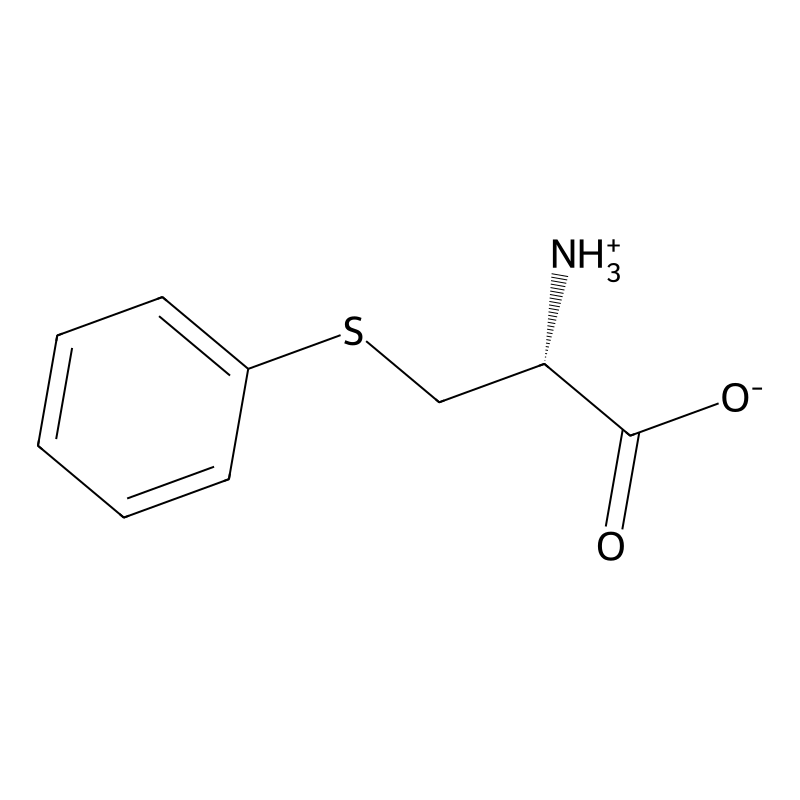 S-Phenyl-L-cysteine