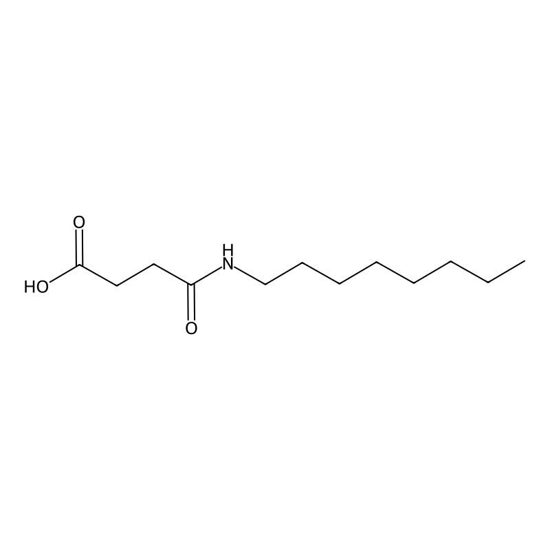 N-Octyl-succinamic acid