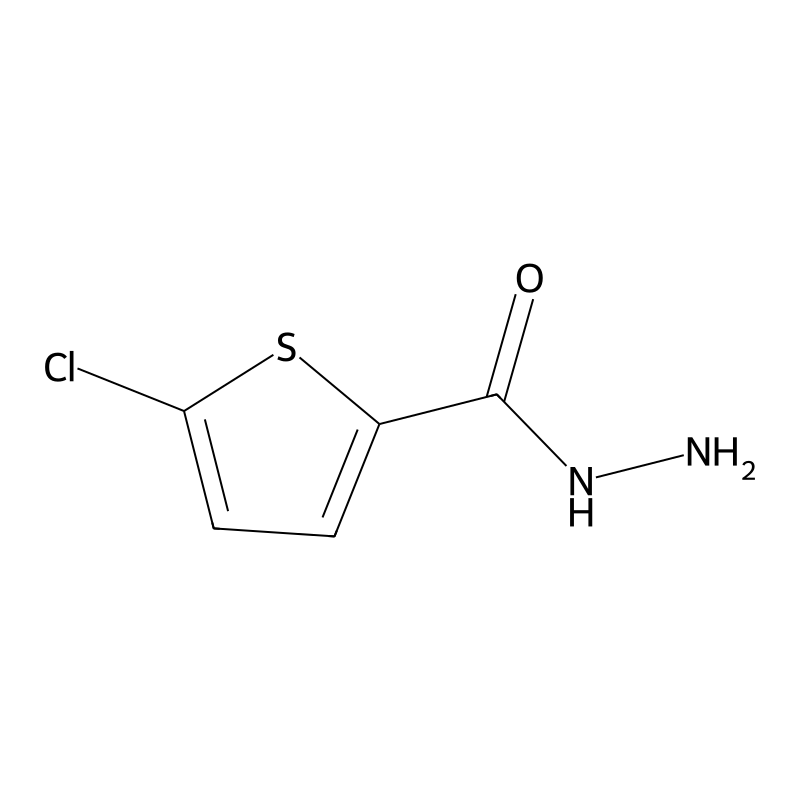 5-Chlorothiophene-2-carbohydrazide