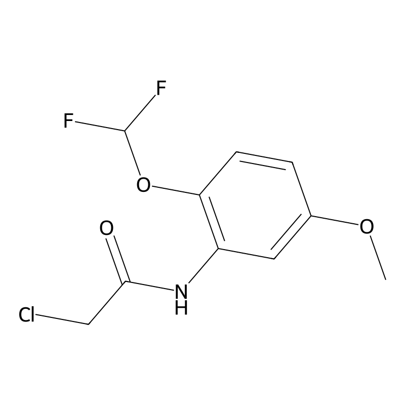 2-chloro-N-[2-(difluoromethoxy)-5-methoxyphenyl]ac...