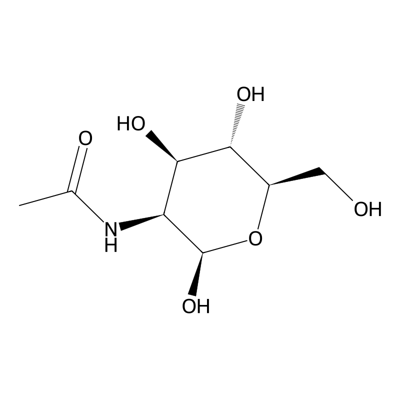 N-acetylmannosamine