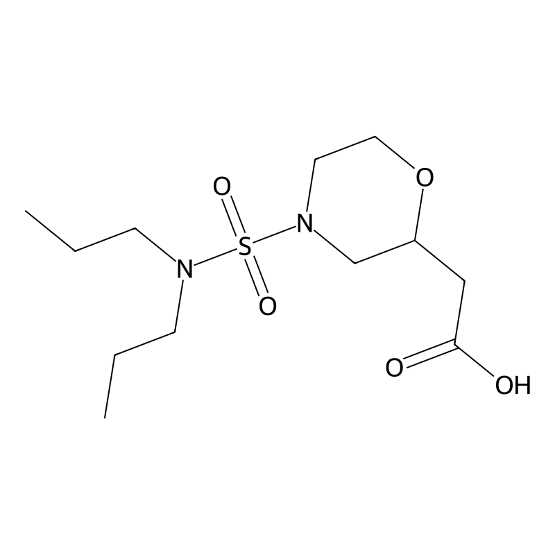 2-[4-(Dipropylsulfamoyl)morpholin-2-yl]acetic acid