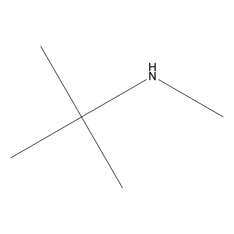 N-Methyl-tert-butylamine