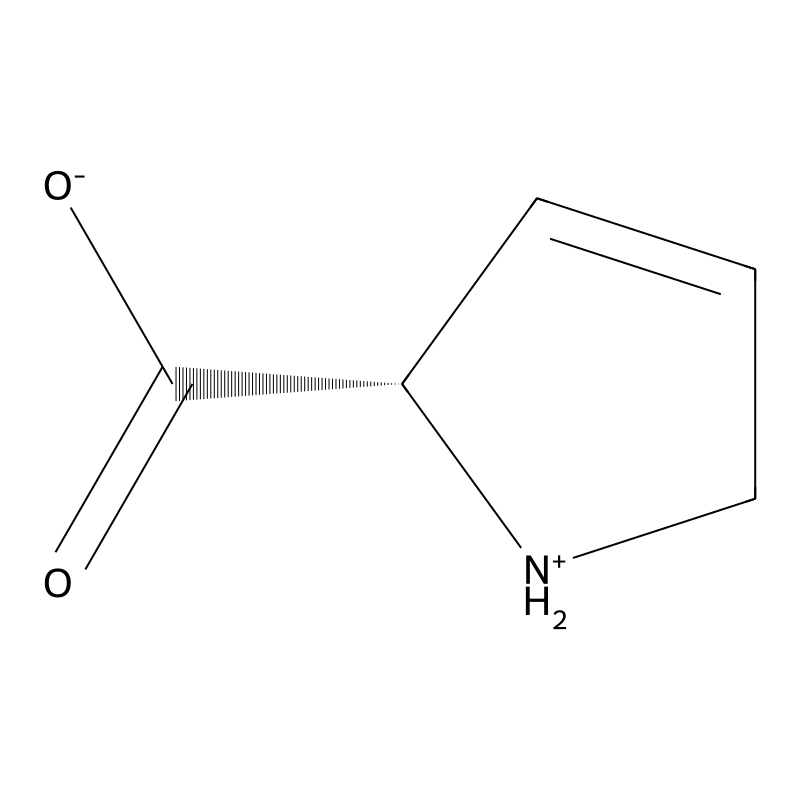 3,4-Dehydro-L-proline