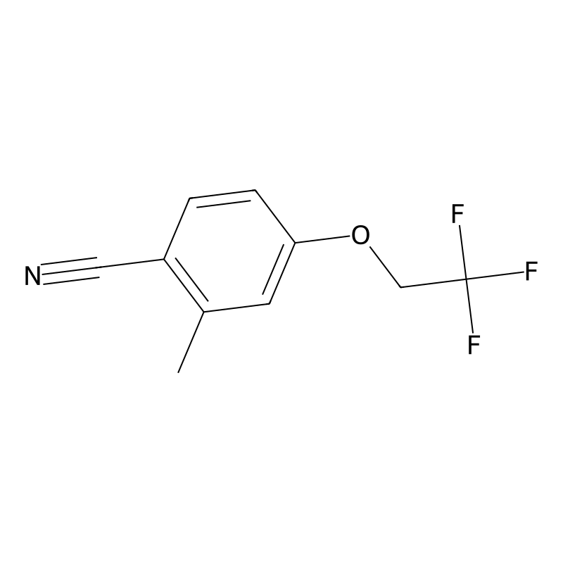 2-Methyl-4-(2,2,2-trifluoroethoxy)benzonitrile