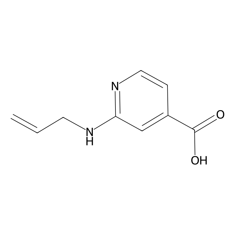 2-(Allylamino)isonicotinic acid